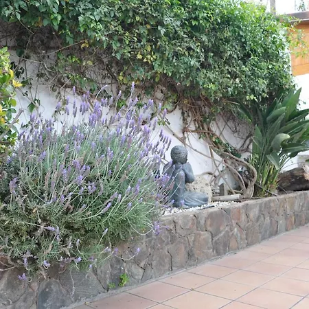 Bonita Casa Calida El Relax Con Wifi