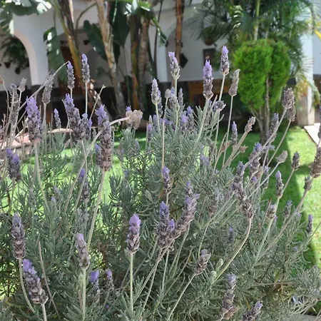 Prázdninový dům Bonita Casa Calida El Relax Con Wifi *