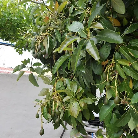 Bonita Casa Calida El Relax Con Wifi Prázdninový dům Valsequillo de Gran Canaria
